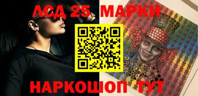 СК Бийск
