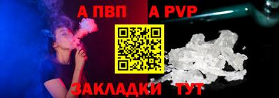 СК Бийск