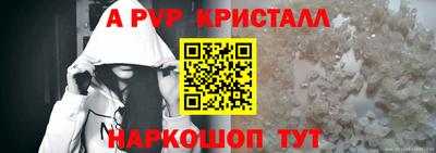 СК Бийск