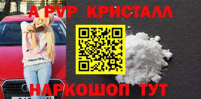 СК Бийск