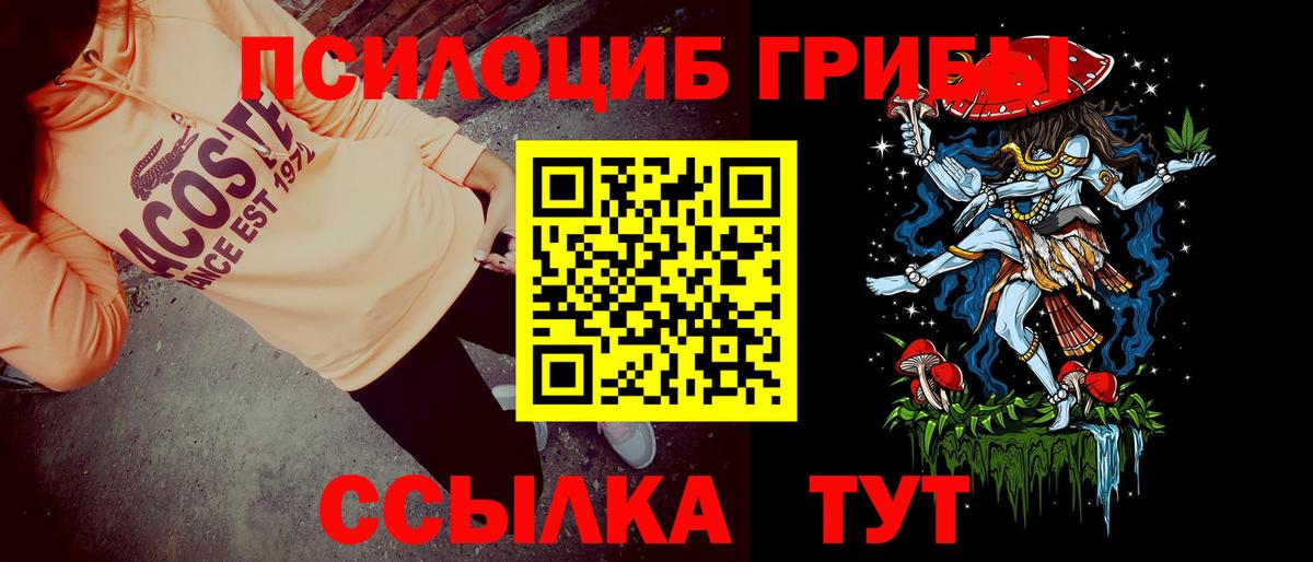 Галлюциногенные грибы прущие грибы Железногорск
