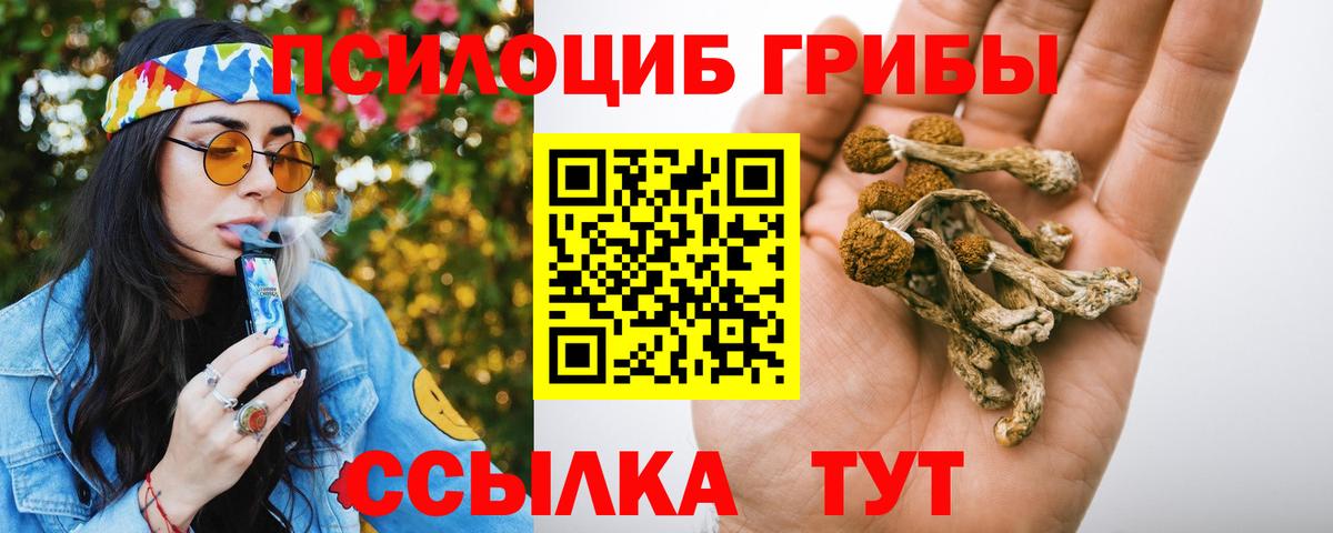Псилоцибиновые грибы мицелий  Вход с VPN  Галлюциногенные грибы Cubensis  Железногорск 